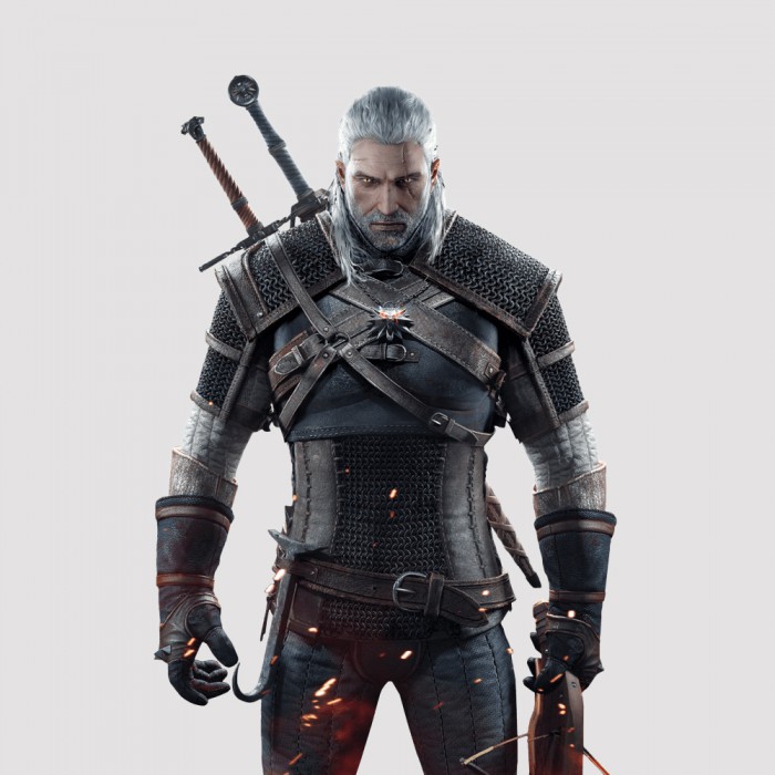 The Witcher Campaign